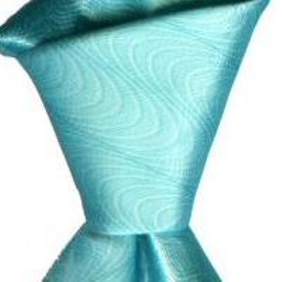Cadouri : cravata matase naturala model M21